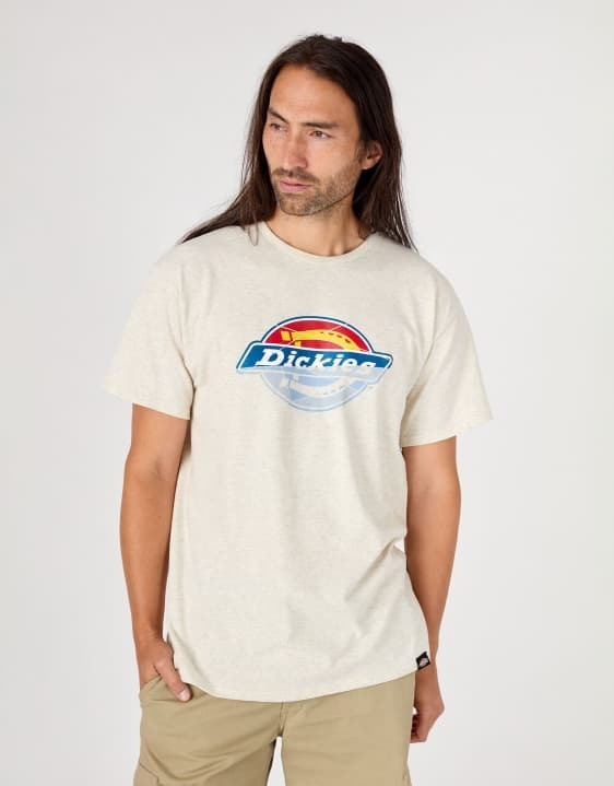 Dickies Skateboarding Short Sleeve Graphic Tee Oatmel