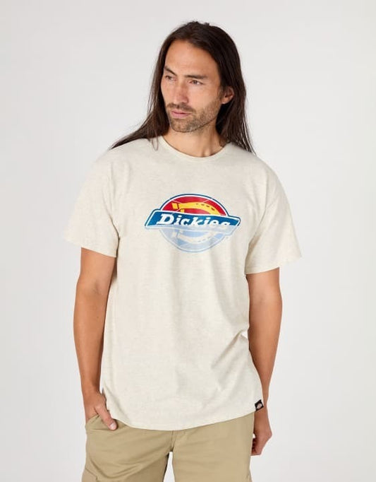 Dickies Skateboarding Short Sleeve Graphic Tee Oatmel